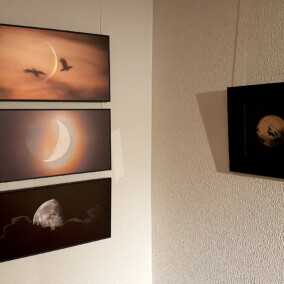 Näitus "Vabaduse struktuur", 2019 Näitus Haus Galeriis